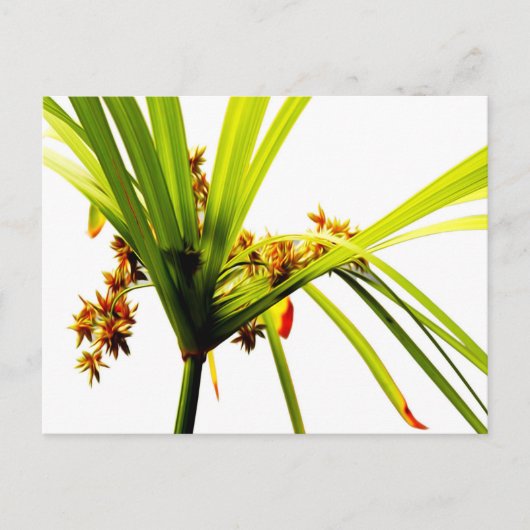 Elegant botanisch patroon briefkaart (Voorkant)