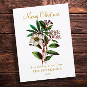 Elegant  Botanisch Roos voor kerstmis