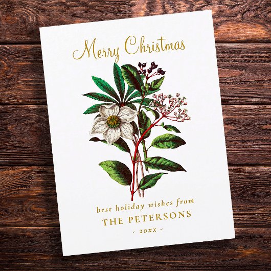 Elegant  Botanisch Roos voor kerstmis