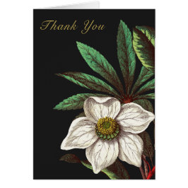 Elegant  Botanisch Roos voor kerstmis