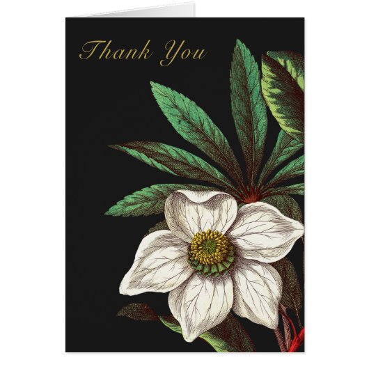 Elegant Botanisch Roos voor kerstmis (Voorkant)