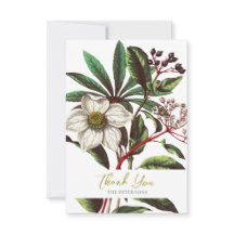 Elegant  Botanisch Roos voor kerstmis