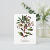 Elegant  Botanisch Roos voor kerstmis Briefkaart (Staand voorkant)