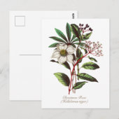 Elegant  Botanisch Roos voor kerstmis Briefkaart (Voorkant / Achterkant)