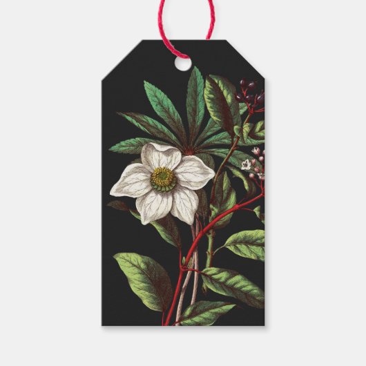 Elegant  Botanisch Roos voor kerstmis Cadeaulabel (Voorkant)