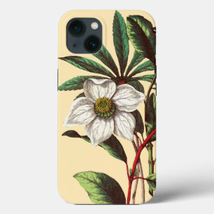 Elegant Botanisch Roos voor kerstmis Case-Mate iPhone Case