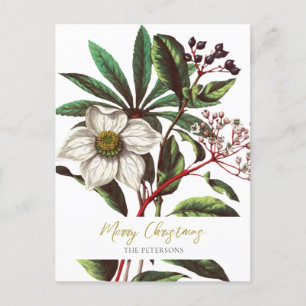 Elegant  Botanisch Roos voor kerstmis Feestdagenkaart