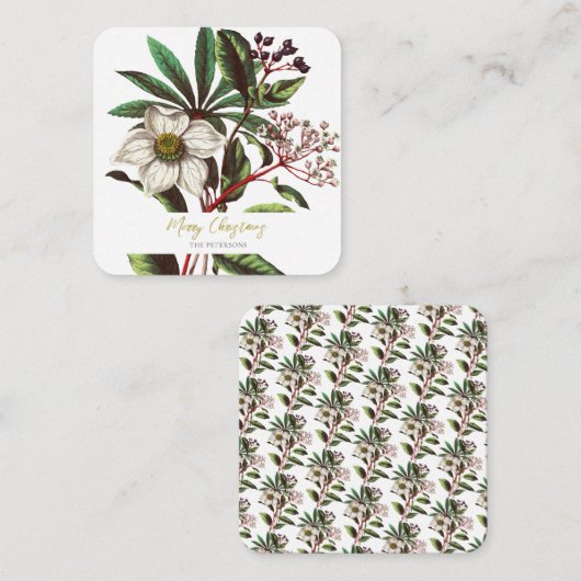 Elegant  Botanisch Roos voor kerstmis Informatiekaartje (Voorkant / Achterkant)