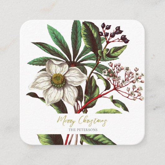 Elegant  Botanisch Roos voor kerstmis Informatiekaartje (Voorkant)