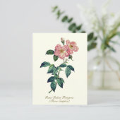 Elegant  Botanisch Roze Wit Eenvoudig Roos Briefkaart (Staand voorkant)
