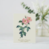 Elegant Botanisch Roze Wit Rose Feestdagenkaart (Staand voorkant)