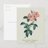 Elegant Botanisch Roze Wit Rose Feestdagenkaart (Voorkant / Achterkant)