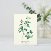 Elegant  Botanisch Wit Wilde Roos Briefkaart (Staand voorkant)