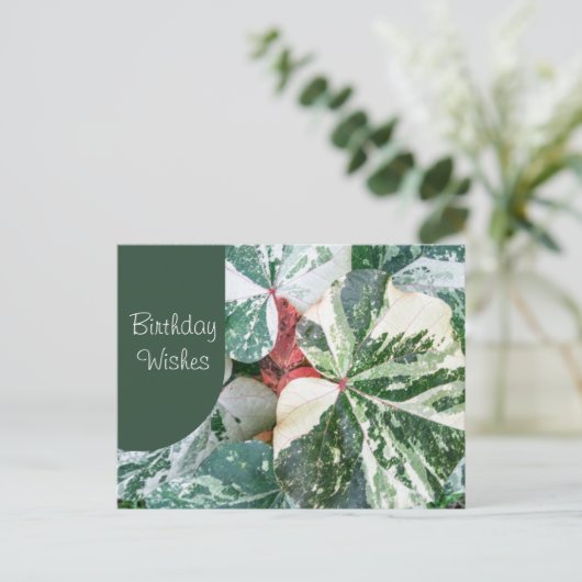 Elegant Botanische Birthday Wish Briefkaart (Staand voorkant)