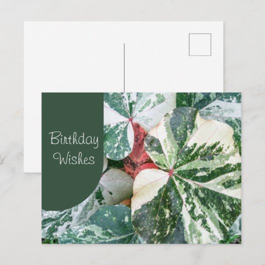 Elegant Botanische Birthday Wish Briefkaart (Voorkant / Achterkant)