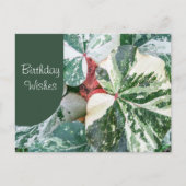 Elegant Botanische Birthday Wish Briefkaart (Voorkant)