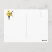 Elegant botanische bloemen Gele deffodis Briefkaart (Achterkant)