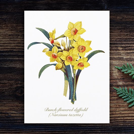 Elegant  botanische bloemen Gele deffodis Briefkaart