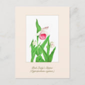 Elegant  Botanische Dame's Slipper Flower Briefkaart (Voorkant)