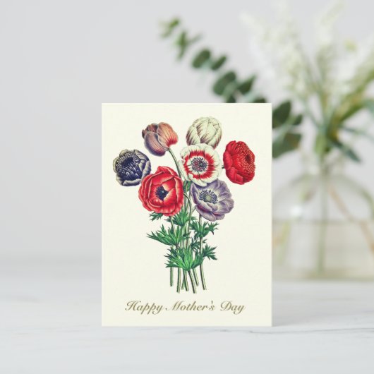 Elegant  Botanische Poppy Anemone Briefkaart (Staand voorkant)