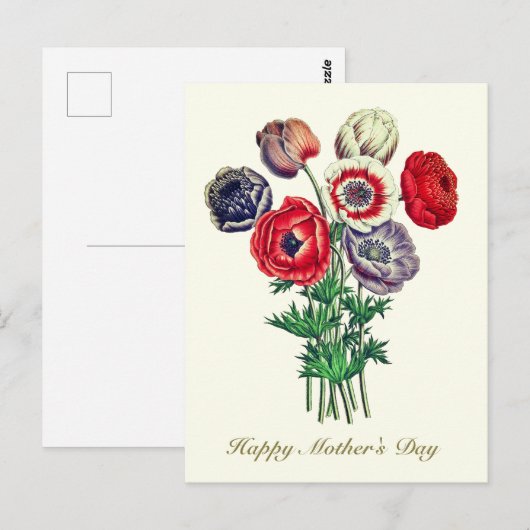 Elegant  Botanische Poppy Anemone Briefkaart (Voorkant / Achterkant)