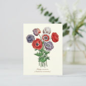 Elegant  Botanische Poppy Anemone Briefkaart (Staand voorkant)