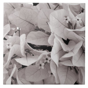 Elegant bougainvillea  bloempatroon tegeltje