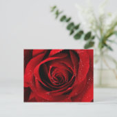 elegant briefkaart (Staand voorkant)