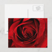elegant briefkaart (Voorkant / Achterkant)