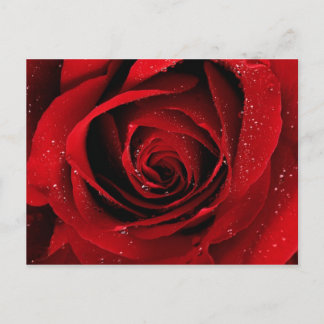 elegant briefkaart
