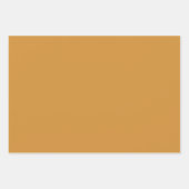 Elegant Burnt Sinaasappel Rust Cream Floral Inpakpapier Vel (Voorkant 2)