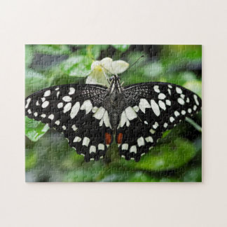 Elegant Butterfly Legpuzzel