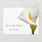 Elegant Cala Lily - Sparen de Datum wit Aankondigingskaart (Achterkant)