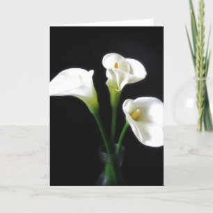Elegant Calla Lily Flowers 10 Kaart
