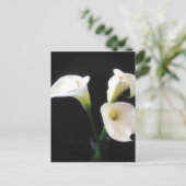 Elegant Calla Lily Flowers 12 Briefkaart (Staand voorkant)