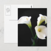 Elegant Calla Lily Flowers 12 Briefkaart (Voorkant / Achterkant)