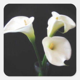 Elegant Calla Lily Flowers 12 Vierkante Sticker