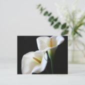 Elegant Calla Lily Flowers 13 Briefkaart (Staand voorkant)