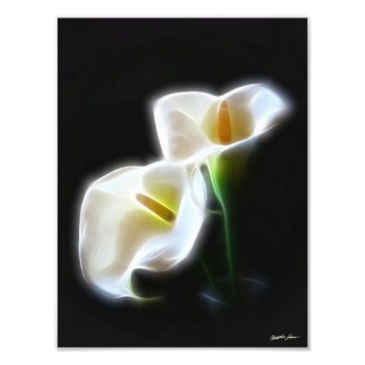 Elegant Calla Lily Flowers 13 Moderne afdrukken Foto Afdruk (Voorkant)