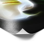 Elegant Calla Lily Flowers 13 Moderne afdrukken Foto Afdruk (Hoek)