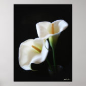 Elegant Calla Lily Flowers 13 Poster (Voorkant)