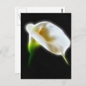 Elegant Calla Lily Flowers 3 Modern Briefkaart (Voorkant / Achterkant)