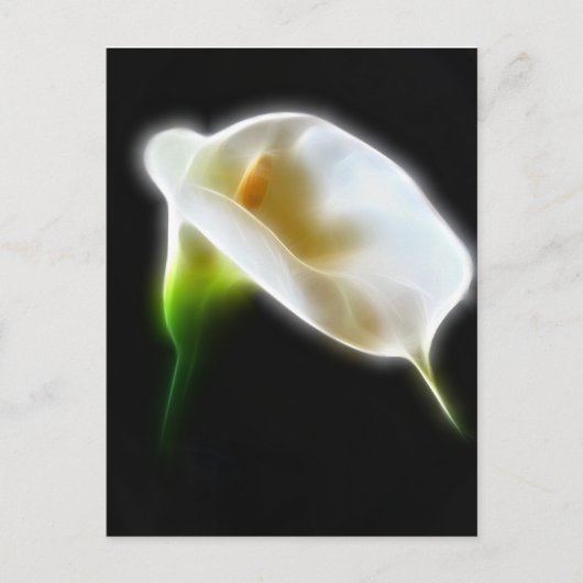 Elegant Calla Lily Flowers 3 Modern Briefkaart (Voorkant)