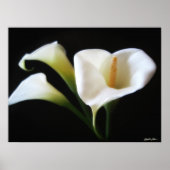 Elegant Calla Lily Flowers 9 Poster (Voorkant)