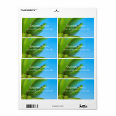 Elegant Calligrafie Sjabloon Modern Blue Sky Palms Etiket (Full Sheet)