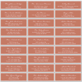 Elegant Calligraphy Terracotta Wedding Guest Label