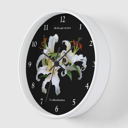 Elegant Casablanca White Oriental Lilies (Hoek)