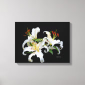 Elegant Casablanca White Oriental Lilies Canvas Afdruk (Voorkant)