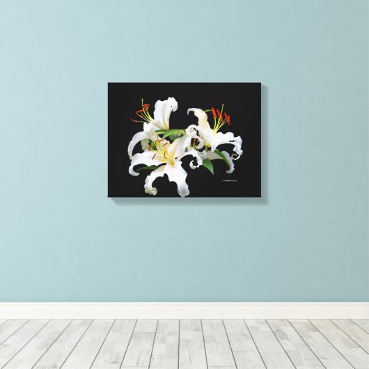 Elegant Casablanca White Oriental Lilies Canvas Afdruk (Insitu (Houten vloer))