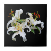 Elegant Casablanca White Oriental Lilies Tegeltje (Voorkant)